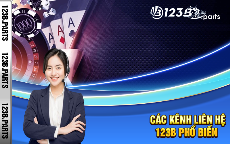 Các kênh liên hệ 123b phổ biến 