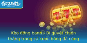 Keo Ong Banh Bi Quyet Chien Thang Trong Ca Cuoc Bong A Cung 123B