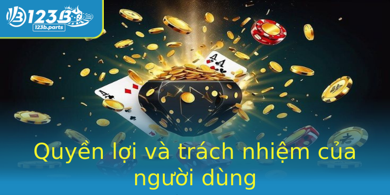 Quyền lợi và trách nhiệm của người dùng Quyền lợi và trách nhiệm của người dùng